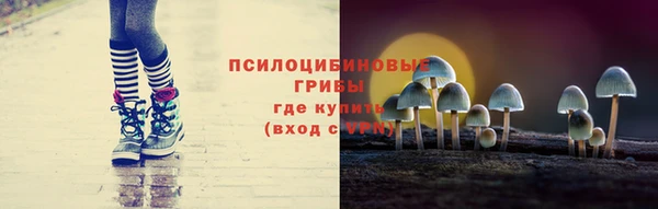 ешки Алзамай